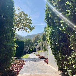 Garden View Pet Friendly Room